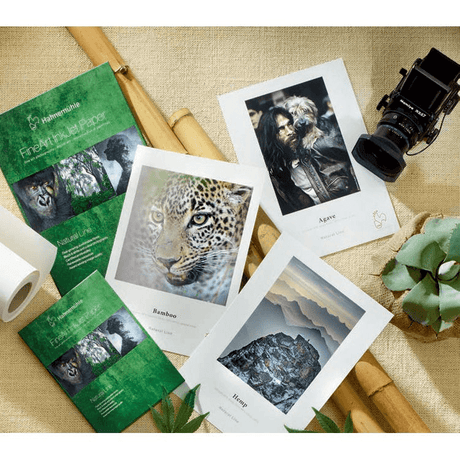 Shop Hahnemuhle Natural Line Sample Pack (13 x 19") by Hahnemuhle at Nelson Photo & Video