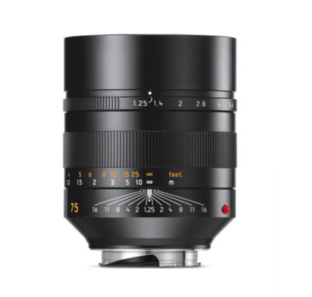 Shop Leica NOCTILUX-M 75 MM F/1.25 ASPH by Leica at Nelson Photo & Video