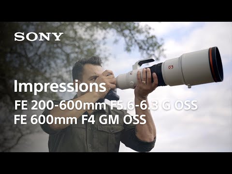 Sony FE 600mm F4.0 GM OSS