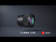 Panasonic Lumix S 24mm f/1.8 Lens