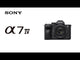 Sony Alpha a7 IV Mirrorless Digital Camera (Body Only)