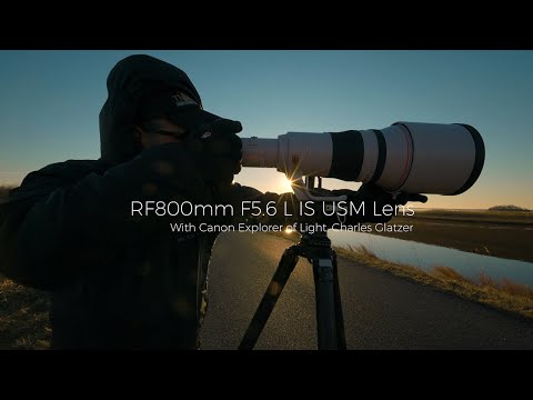 Canon RF 800mm f/5.6 L IS USM Lens