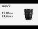 Sony FE 85mm f/1.4 GM II Lens