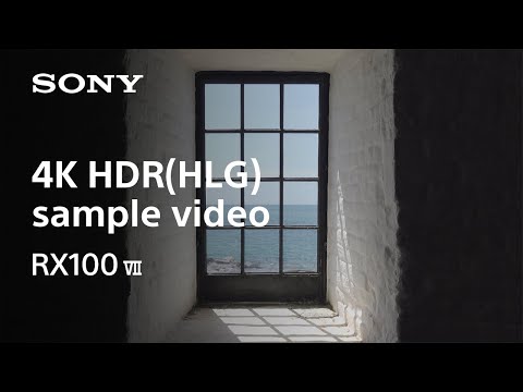 Sony Cyber-shot DSC-RX100 VII Digital Camera