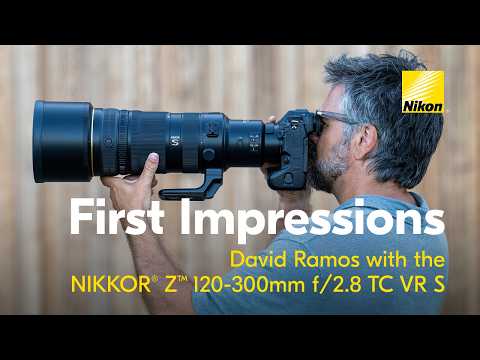 Nikon NIKKOR Z 120-300mm f/2.8 TC VR S Lens