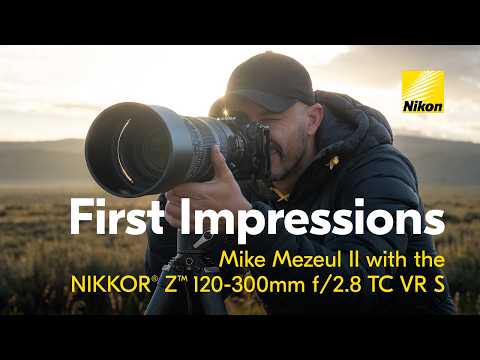 Nikon NIKKOR Z 120-300mm f/2.8 TC VR S Lens