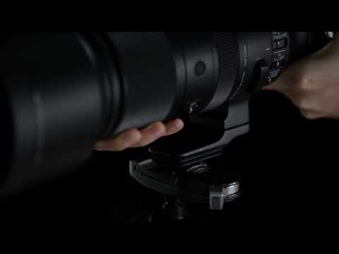 Sigma 60-600mm F4.5-6.3 DG DN OS | Sports for Sony E-Mount