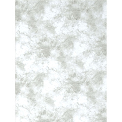 Shop Promaster Cloud Dyed Backdrop 6' x 10' - Light Gray by Promaster at Nelson Photo & Video