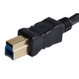 Shop Promaster Data Cable USB 3.0 A male - B male 6' by Promaster at Nelson Photo & Video