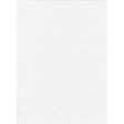 Shop Promaster Solid Backdrop 10'x12' - White by Promaster at Nelson Photo & Video