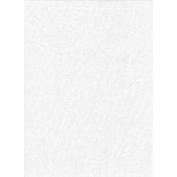 Shop Promaster Solid Backdrop 10'x12' - White by Promaster at Nelson Photo & Video