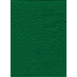 Shop Promaster Solid Backdrop 10'x20' - Chromakey Green by Promaster at Nelson Photo & Video