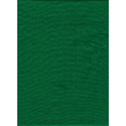 Shop Promaster Solid Backdrop 10'x20' - Chromakey Green by Promaster at Nelson Photo & Video