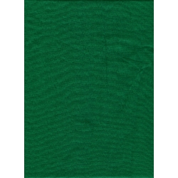 Shop Promaster Solid Backdrop 6' x 10' - Chromakey Green by Promaster at Nelson Photo & Video