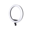 Shop Promaster Specialist R19RGB 19" LED Ringlight by Promaster at Nelson Photo & Video