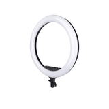 Shop Promaster Specialist R19RGB 19" LED Ringlight by Promaster at Nelson Photo & Video