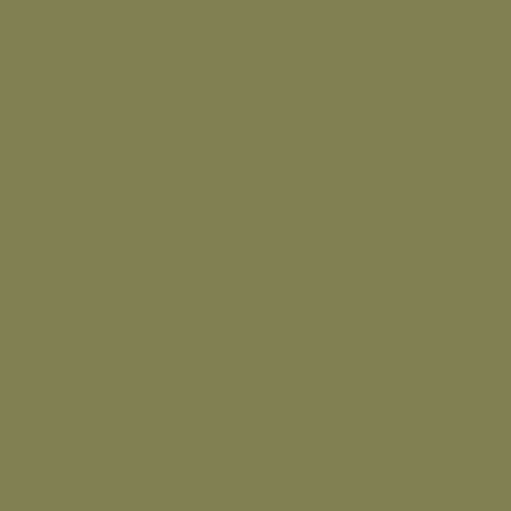 Shop Savage Widetone Seamless Background Paper (#34 Olive Green, 107" x 36') by Savage at Nelson Photo & Video
