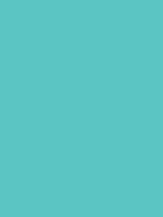 Shop Savage Widetone Seamless Background Paper (Baby Blue, 53" x 36') by Savage at Nelson Photo & Video