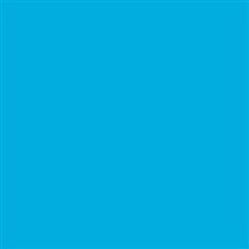 Shop Savage Widetone Seamless Background Paper ( Blue Jay 107" x 36) by Savage at Nelson Photo & Video