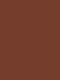 Shop Savage Widetone Seamless Background Paper (Chestnut Seamless Paper 86” x 12yd) by Savage at Nelson Photo & Video