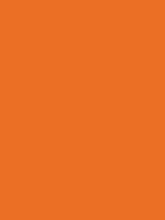 Shop Savage Widetone Seamless Background Paper (Orange 86”X12yds) by Savage at Nelson Photo & Video
