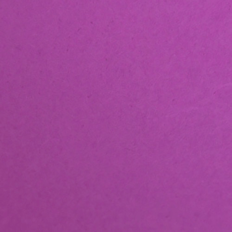 Shop Savage Widetone Seamless Background Paper (Plum, 107" x 36') by Savage at Nelson Photo & Video