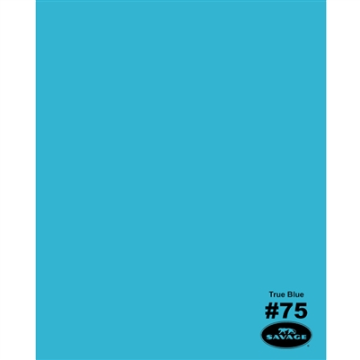 Shop Savage Widetone Seamless Background Paper (True Blue, 86” x 12yds) by Savage at Nelson Photo & Video