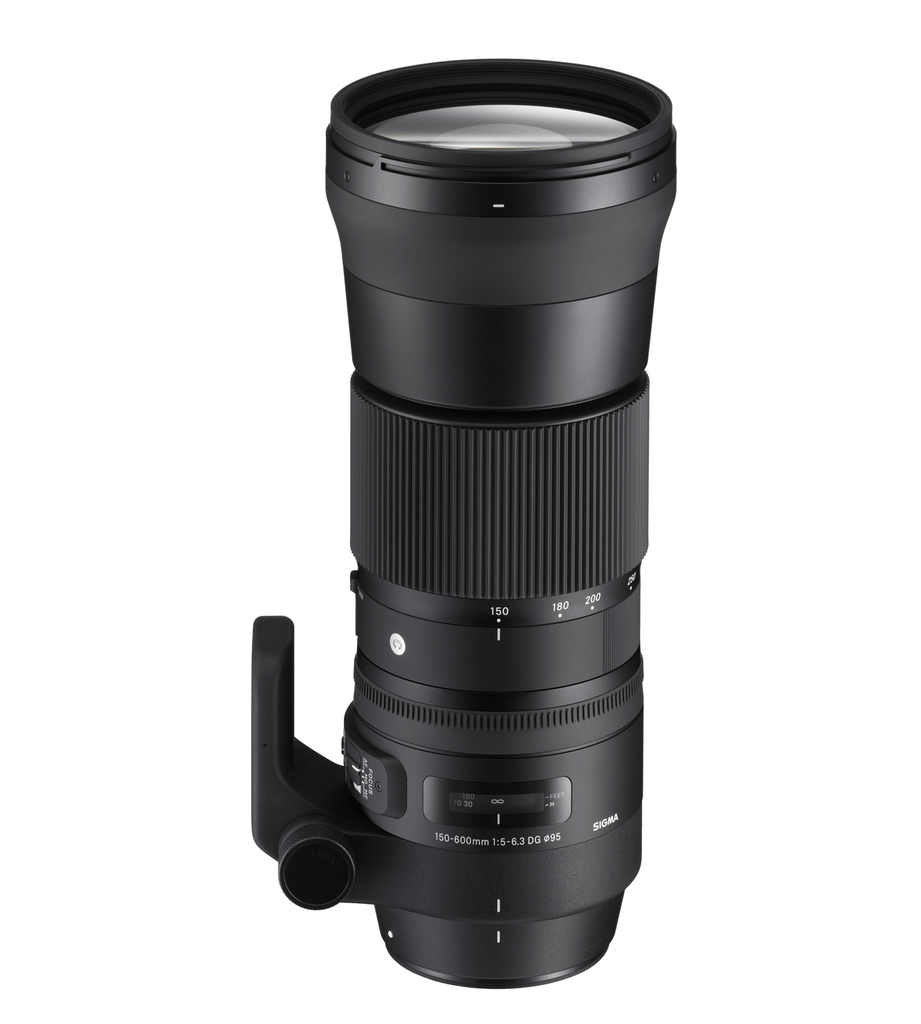 Shop Sigma 150-600mm f/5-6.3 DG OS HSM Contemporary Lens for Nikon F by Sigma at Nelson Photo & Video