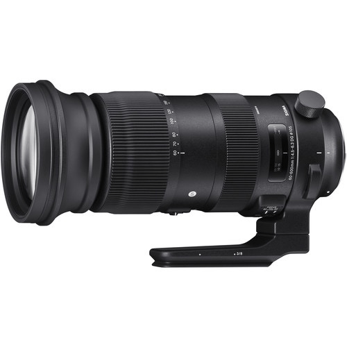 Shop Sigma 60-600mm f/4.5-6.3 DG OS HSM Sports Lens for Canon EF by Sigma at Nelson Photo & Video