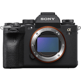 Shop Sony a1 Mirrorless Camera by Sony at Nelson Photo & Video