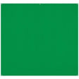Shop X-Drop Pro Wrinkle-Resistant Backdrop - Chroma-Key Green Screen (8 X 8) by Westcott at Nelson Photo & Video